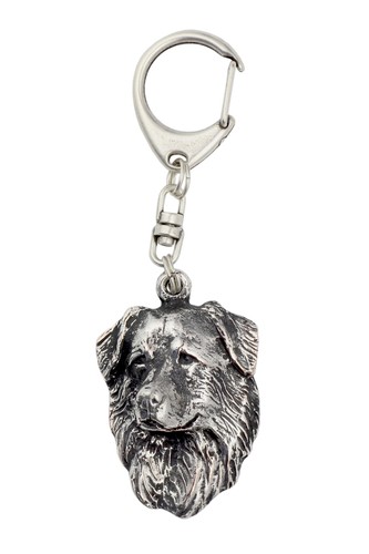 Chien berger hollandais - de,