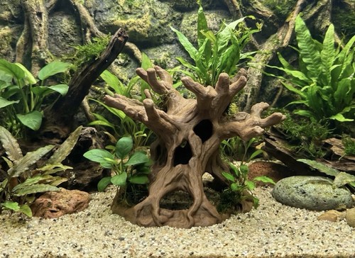 Mangrove style root cave - style,