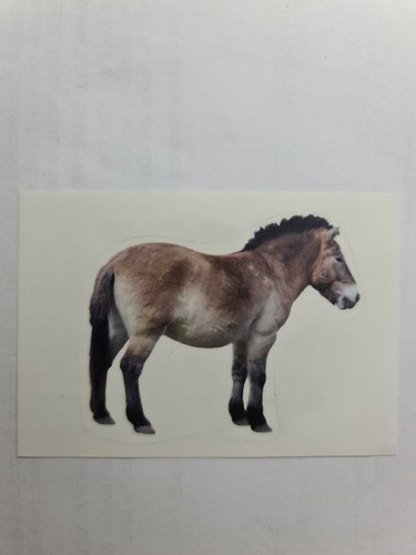 Image sticker autocollant