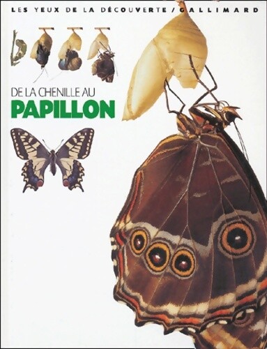 Chenille papillon - chenille, au