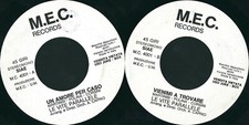 Disque 45 TOURS Les Vites