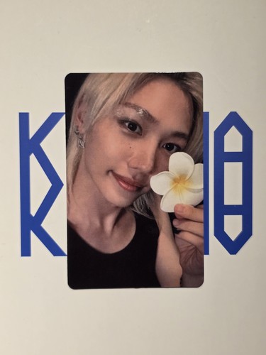 Felix stray kids karma - felix,