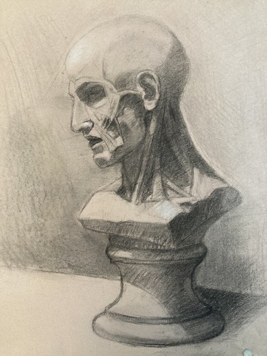 Superbe dessin écorché - dessin,
