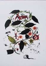 Salvador DALI : Passiflore , LITHOGRAPHIE signée, 800ex, 1979