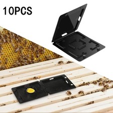 10pcs Hives Tiple Catcher