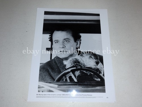 Groundhog day bill murray - groundhog,