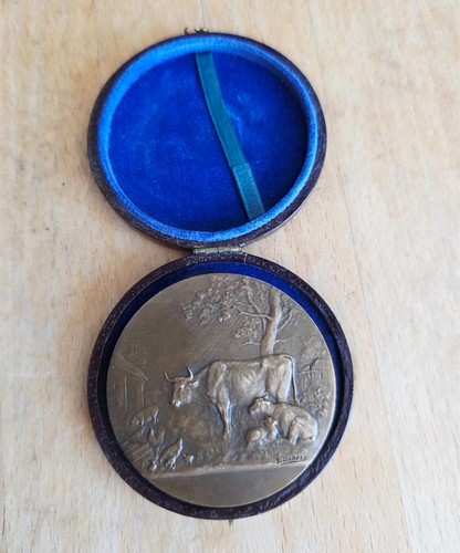Médaille ancienne société - médaille,