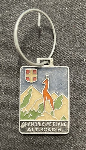 Insigne porte cles - porte,