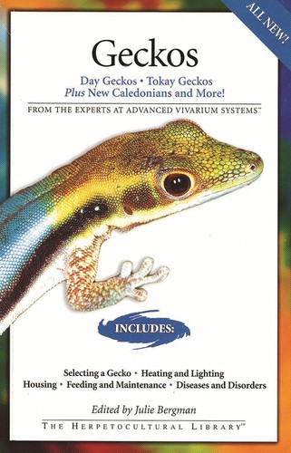 Geckos day tokay - geckos:, geckos,