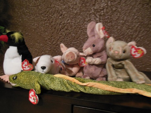 Beanie baby 6 different - ty,