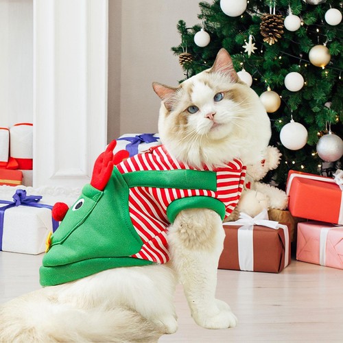 Déguisement noël pour - déguisement,