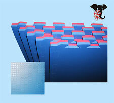 10 Tatami 1m X 1m De 3 CM Judo