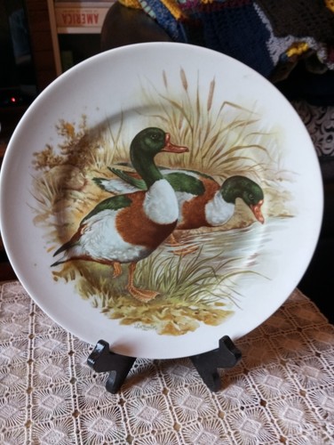 Assiette porcelaine laseyras - assiette,