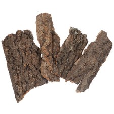  4 Pcs Terrarium Pour Tortue Accessoires De Dragon Barbu D'aquarium