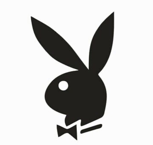 Playboy bunny playmate - playmate, hugh