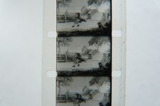 Film d'animation Cinette 16 mm Disney Grand méchant loup / Petit chaperon rouge