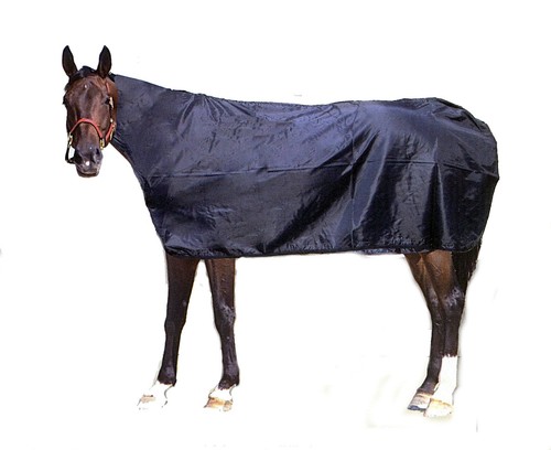 Couverture cheval imperméable - cheval,
