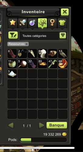 Dofus touch terra cogita - dofus,