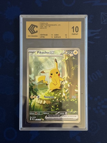 Pikachu alternatif 276 - pikachu,
