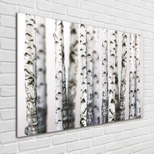 Tulup image sur verre - tulup,