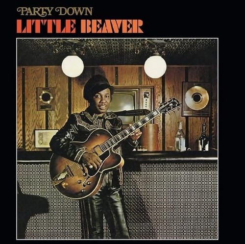 Little beaver party down - beaver,