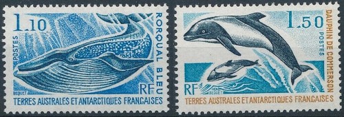 Taaf fsat antarctique sud - antarctique,