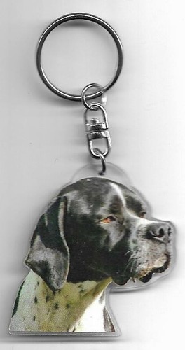 Pointer chien porte cles - , /