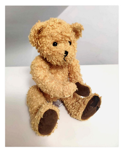 Peluche doudou ours - peluche/doudou, teddy