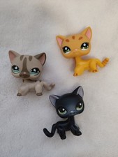Littlest Pet Shop cat chat
