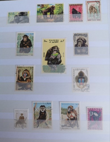 Lot timbres monde entier - lot, du