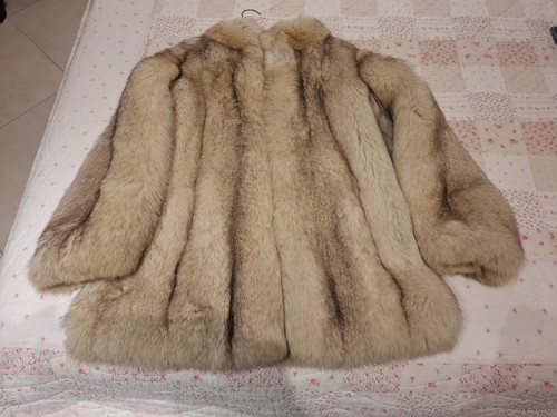 Veste renard bleu - bleu,