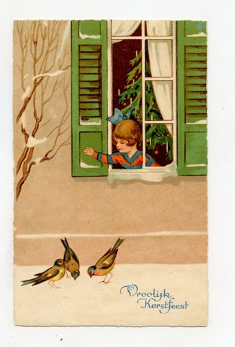 Noël bonne année - ., oiseaux