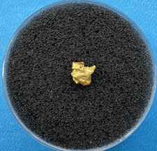 1 pépite d'or Australie 24k -