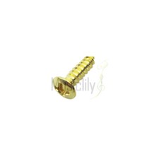 Musiclily 50Pcs 3mm Pickguard Screw For Fender Strat Tele Guitar Bass Gold New