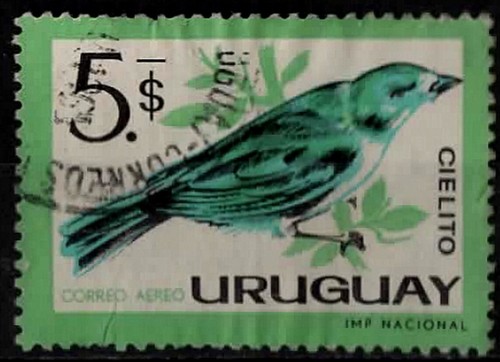 1963 uruguay tangara sayaca - uruguay.,