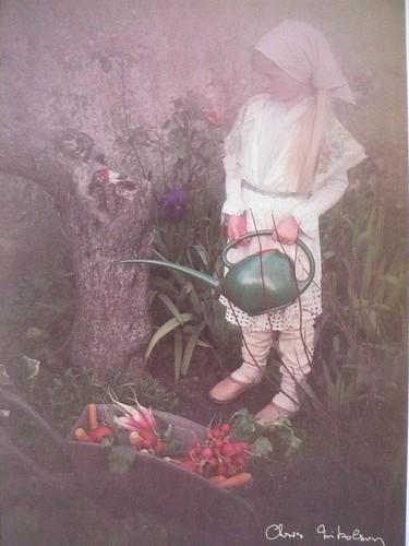 Carte postale chris nikolson - carte,