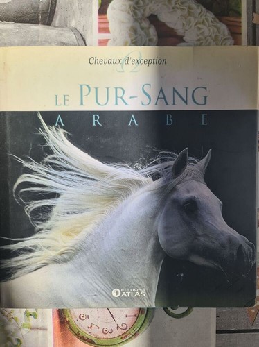 Pur sang arabe - le,