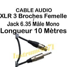 1 Câble Jack 6,35 Mâle MONO