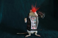taxidermie rat punk  rock star