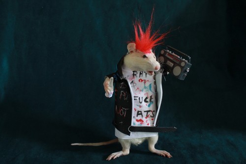 Taxidermie rat punk rock star - rat,