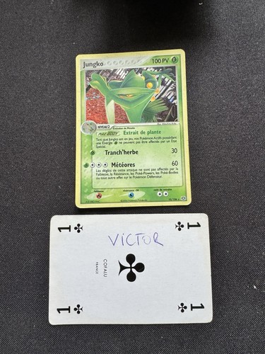 Carte pokemon jungko 106 - pokemon, 10/106