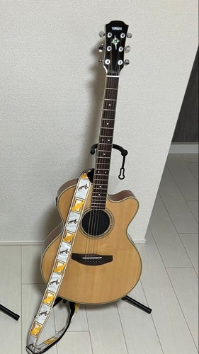 Guitare acoustique électrique