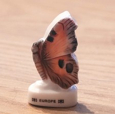 Fève - Papillon - Europe