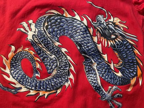 Y2k red dragon topper - sz, m
