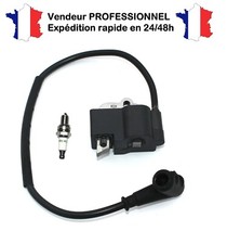 Bobine / Module d'allumage +