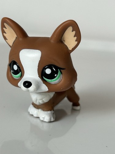 Authentic littlest pet - pet, shop