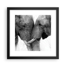 Affiche Poster 30x30cm Tableaux Image Photo Éléphants Safari Bond Wall Art