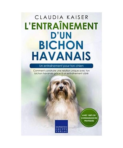 Entraînement un - l’entraînement, d’un