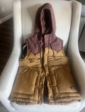 Patagonia Bivy Hooded Vest