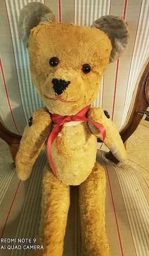 Ours peluche très - en,